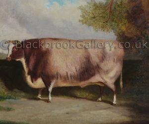 A shorthorn steer in a grand landscape by Richard Whitford naive animal paintings