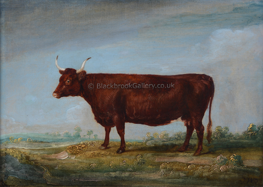 Antique Animal Portrait, Devon Cow By James Ward