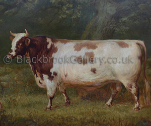 Ayrshire bull by Gourlay Steell naive animal paintings