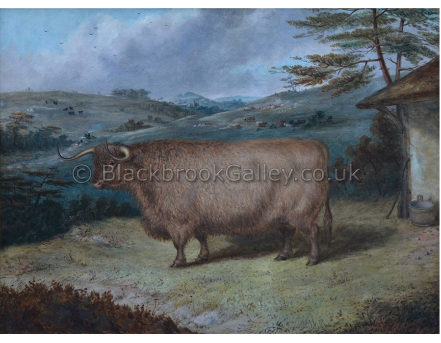 Prize highland steer by Richard Whitford antique animal paintings