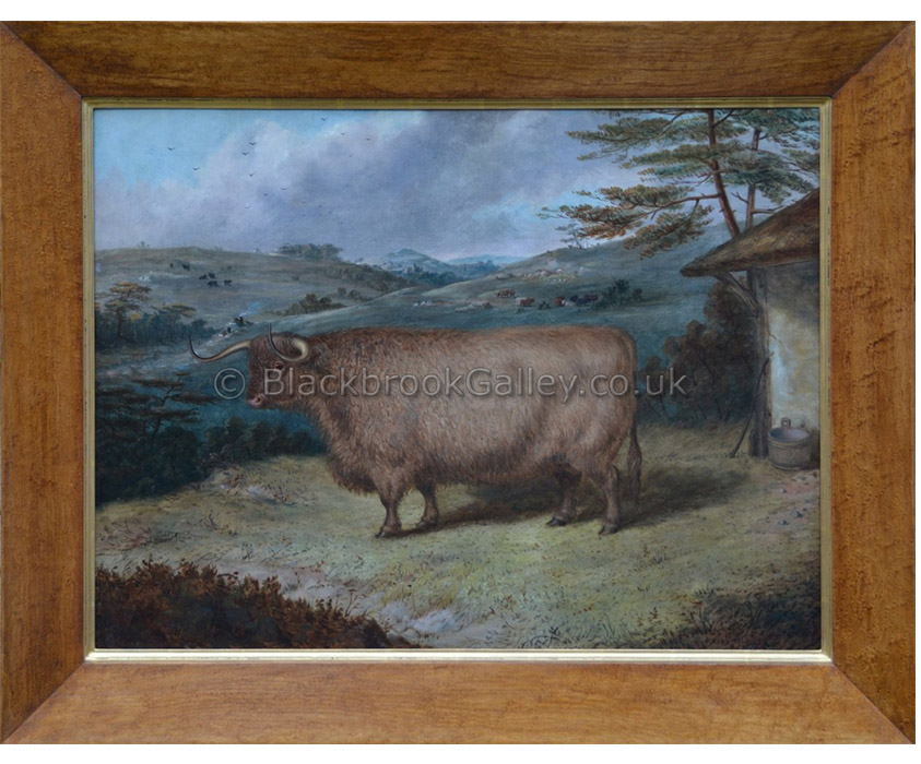 Prize highland steer by Richard Whitford antique animal portrait