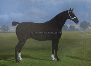 Hackney Stallion Skeleton Naïve Animal Painting
