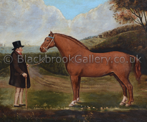 Suffolk Punch Stallion Suffolk Punch Stallion