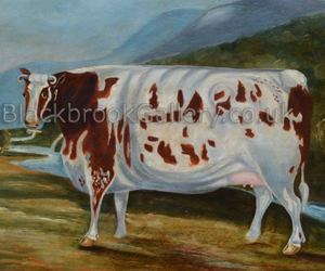 Craven Heifer Craven Heifer