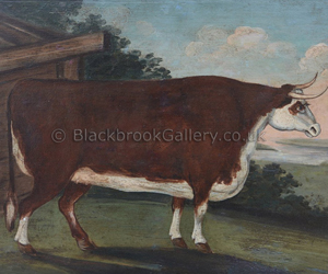 Early Primitive Hereford Heifer on Panel by Benjamin Waterhouse Hawkins naive animal painting