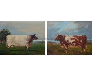 Pair of Shorthorn Cows by E.S. England naive animal painting