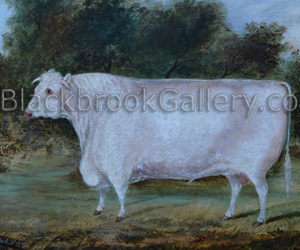 Solomon shorthorn bull naive animal painting