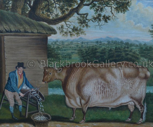 The Newbus Ox The Newbus Ox