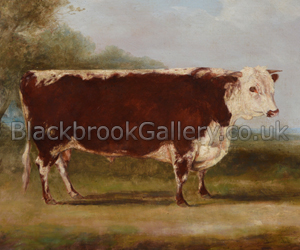 Prize Hereford bull by William Henry Davis naive animal painting