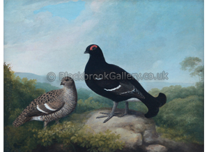 Black Cock And Grey Hen By Samuel Howitt