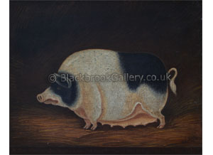 A Prize Gloucester Sow, Antique Animal Painting