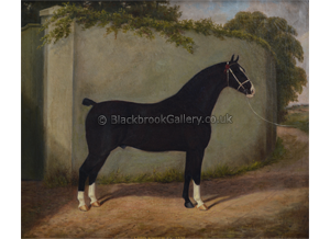Lord Kimberley Antique Animal Painting