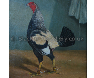 Duckwing English Game Cock by H.Atkinson naive animal painting