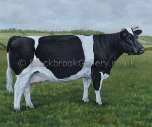 ‘Violet’  Friesian Cow ‘Violet’  Friesian Cow
