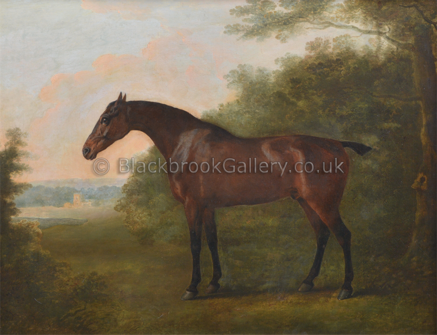 Bay Gelding in a landscape