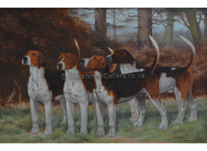 Fox Hounds Fox Hounds