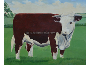 Hereford Heifer Hereford Heifer