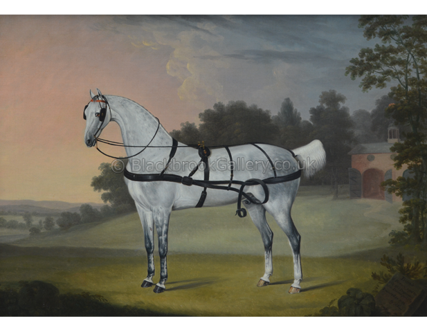 'Beauty' Portrait of a carriage horse