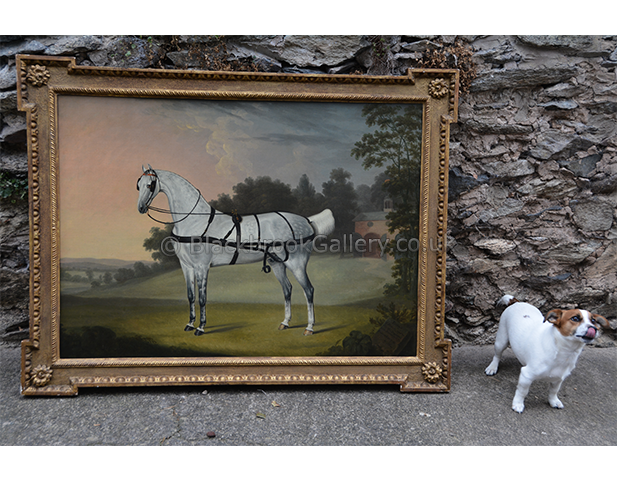 'Beauty' Portrait of a carriage horse