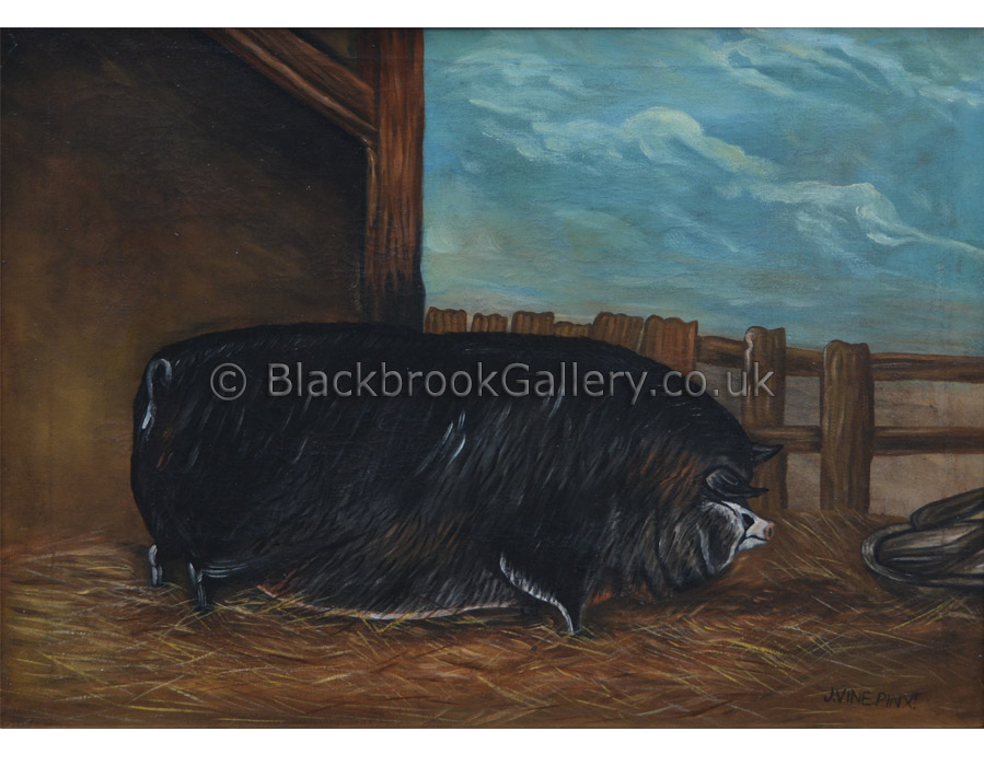 Portrait of Pig outside the stye by J. Vine antique animal painting