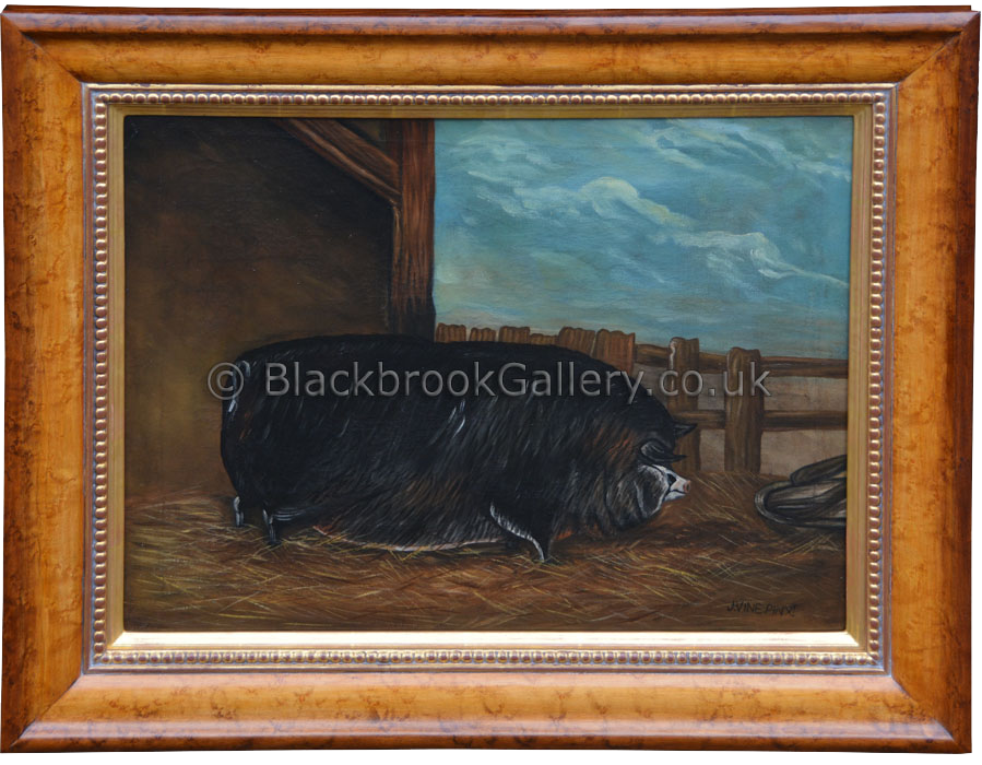 Portrait of Pig outside the stye by J. Vine antique animal portrait