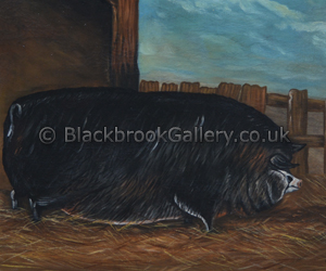 Portrait of Pig outside the stye