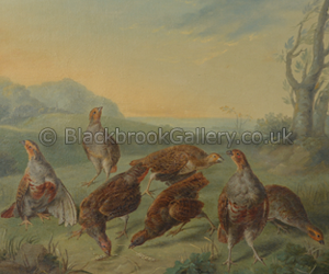 Covey of seven partridges in a landscape