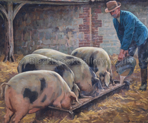 Gloucester old spots