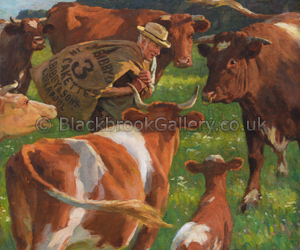 Feeding the Shorthorns