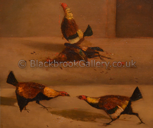 Pair of Cock fighting scenes