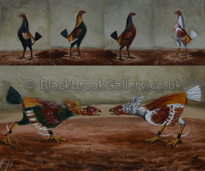 Set of five fighting cock paintings