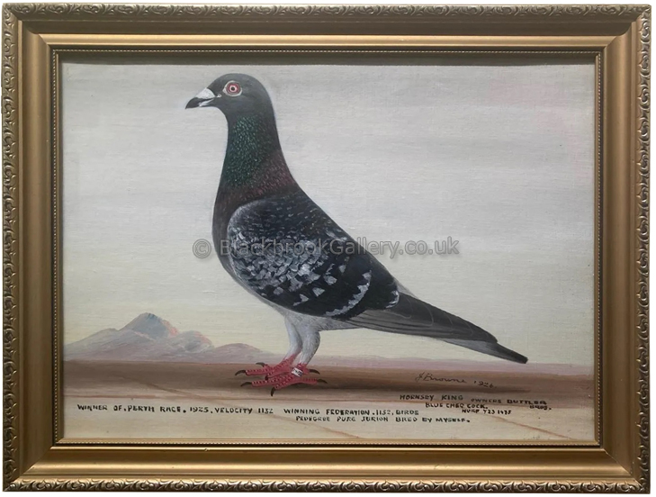 Antique Pigeon Painting Hornsey King Framed