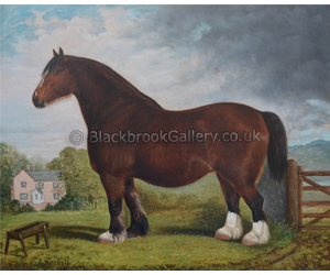 Heavy Horse In Paddock In Front Of The Farmhouse