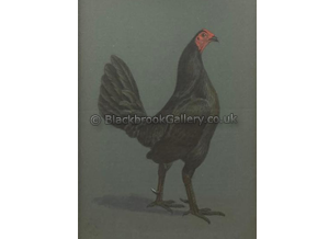 Black Hencock