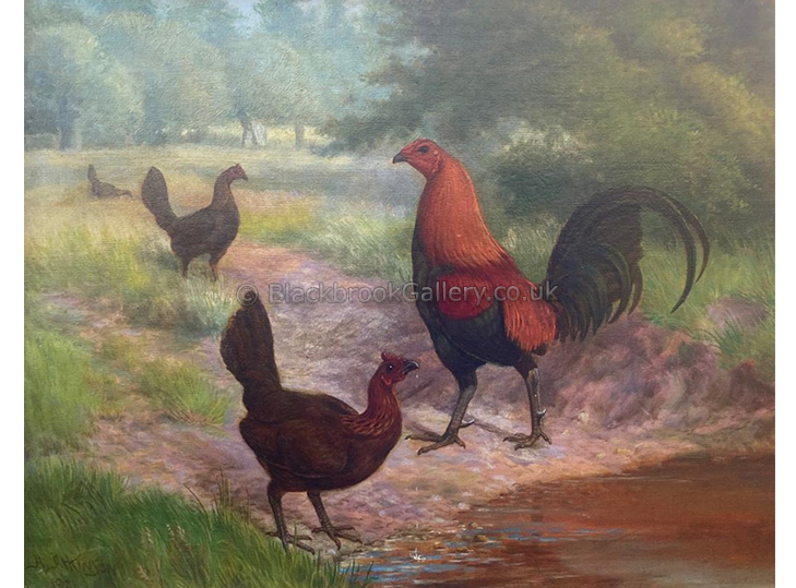 Brown Red Old English Game Quartet