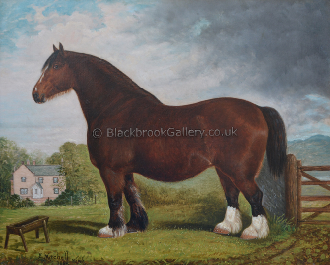 Heavy Horse In Paddock In Front Of The Farmhouse