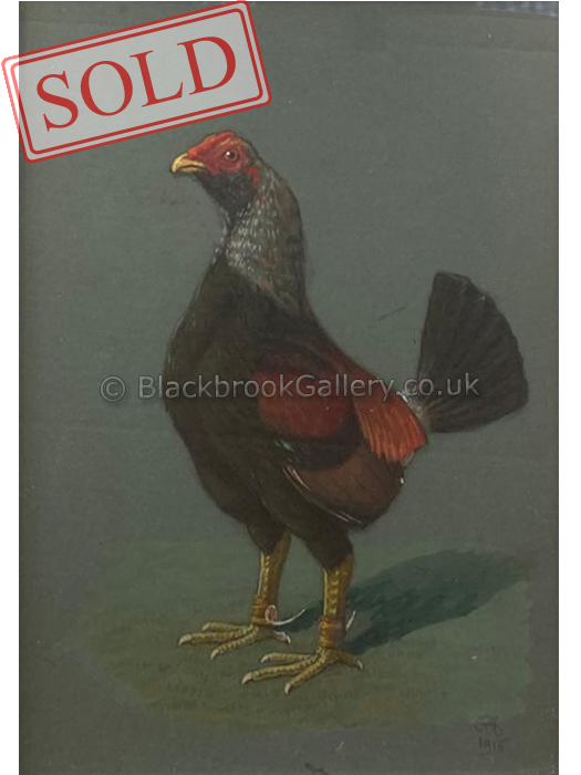 Muff cock sold Muff cock sold