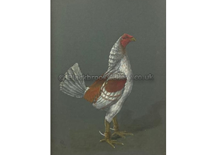 Pile Cock