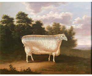 Leicester Ram