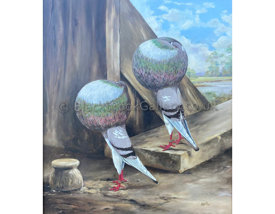 Pair of Pouter Pigeons