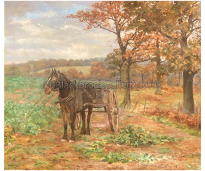 Collecting Turnips